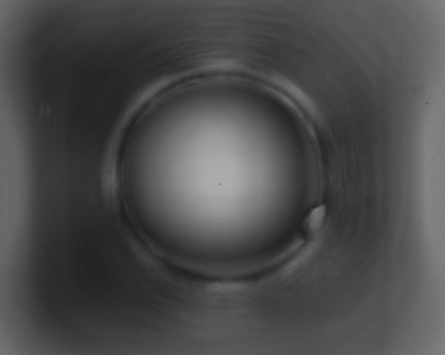 X0000101411118200807071249
