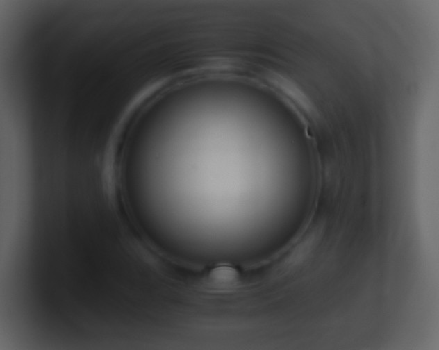 X0000101411119200807071249
