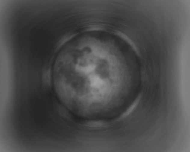 X0000101411121200807071249
