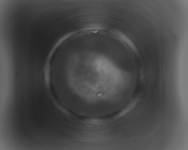 X0000101411124200807071249