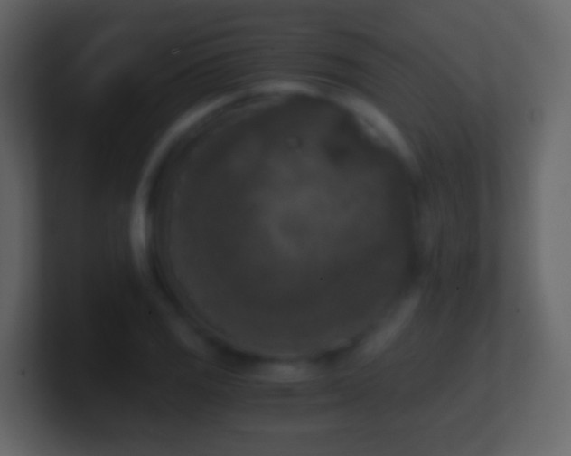 X0000101411125200807071249