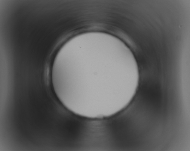 X0000101411126200807071249