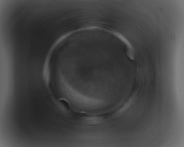 X0000101411127200807071249