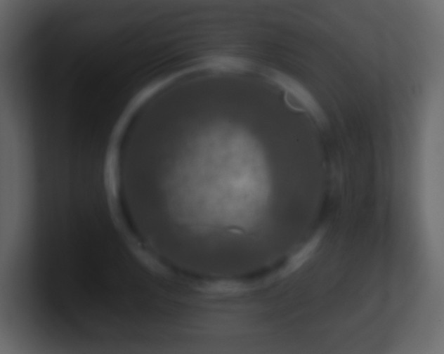 X0000101411128200807071249
