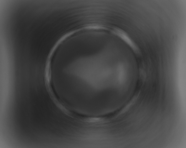 X0000101411132200807071249