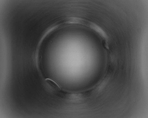 X0000101411138200807071249