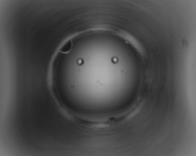 X0000101411140200807071249