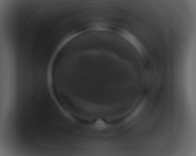 X0000101411141200807071249