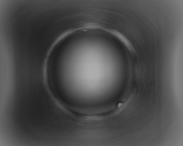 X0000101411142200807071249