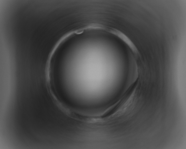 X0000101411148200807071249