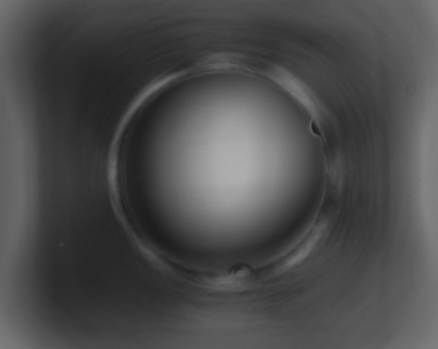 X0000101411149200807071249