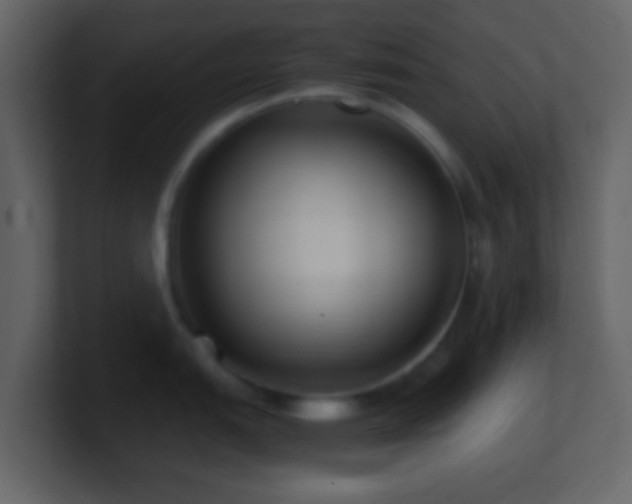 X0000101411151200807071249