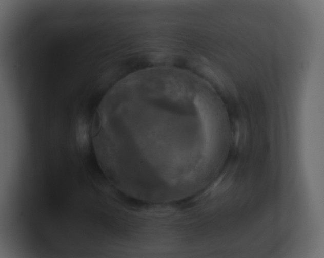 X0000101411154200807071249