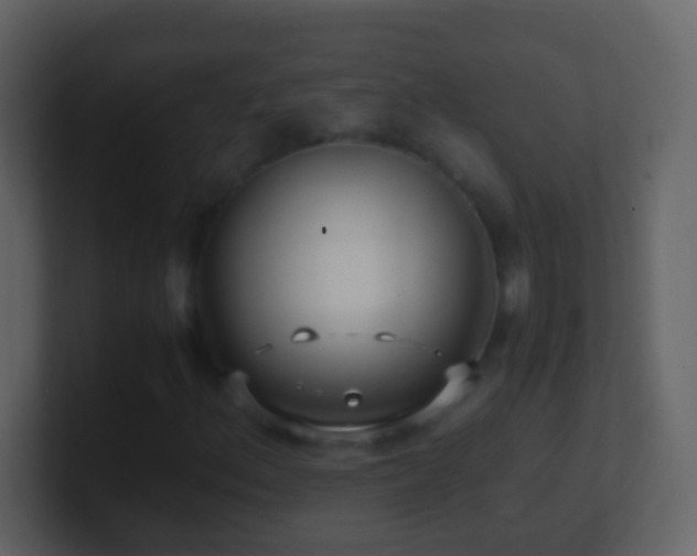 X0000101411156200807071249