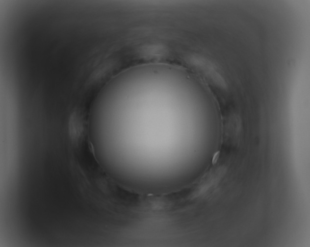 X0000101411157200807071249