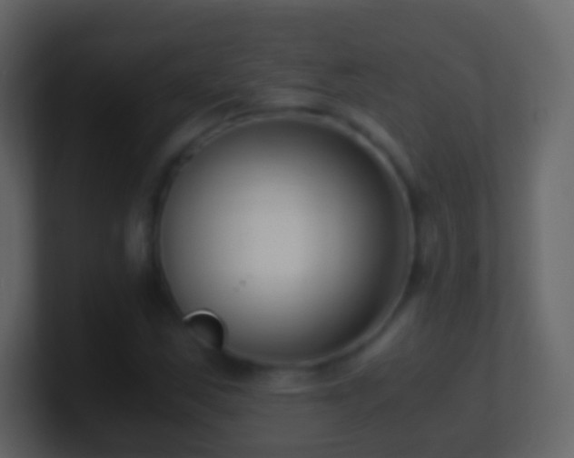 X0000101411163200807071249