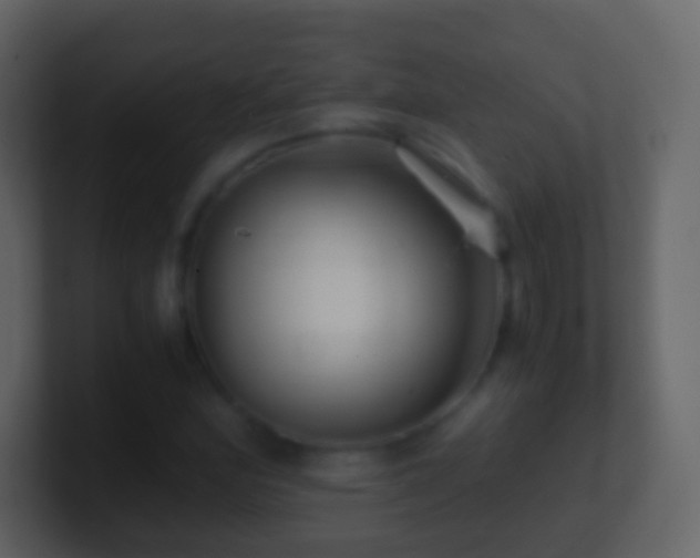 X0000101411164200807071249