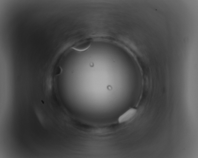 X0000101411165200807071249