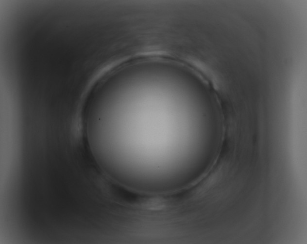 X0000101411167200807071249