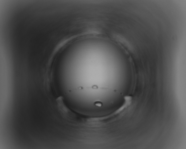X0000101411168200807071249