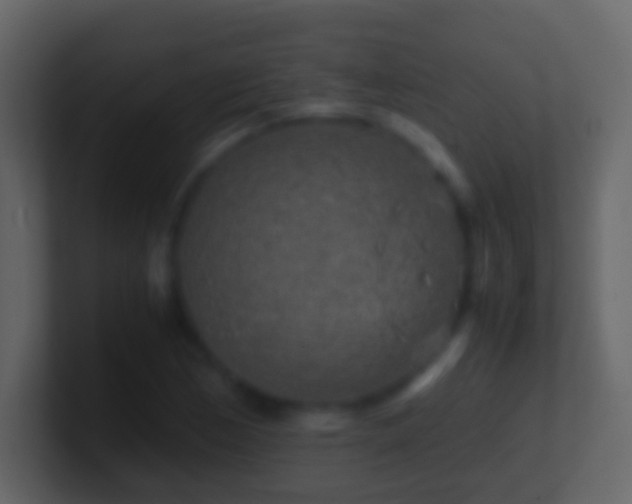 X0000101411170200807071249