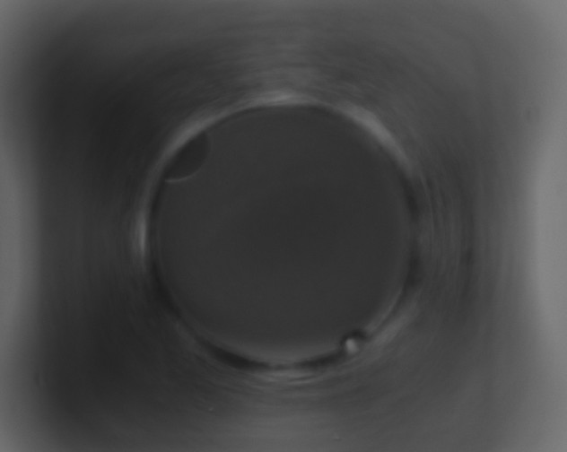 X0000101411173200807071249