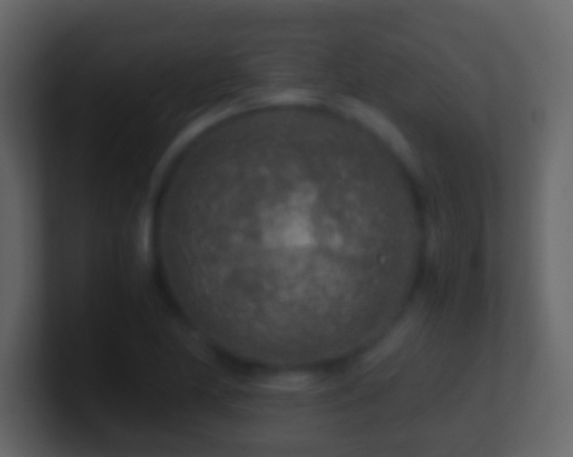 X0000101411174200807071249