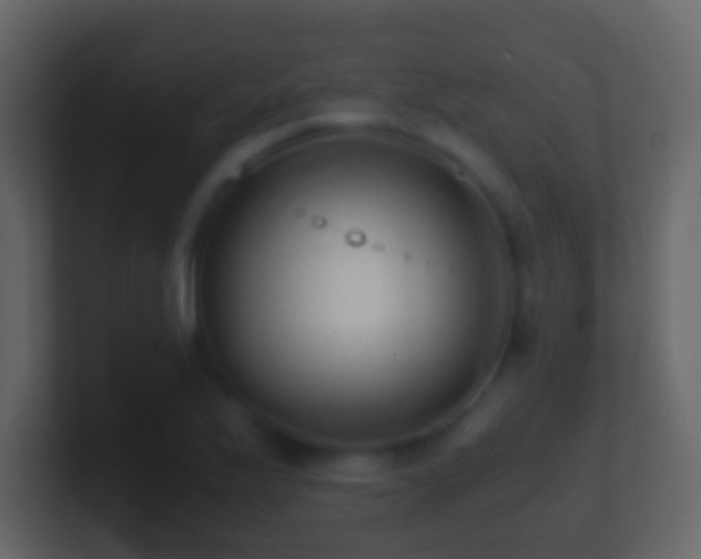 X0000101411175200807071248