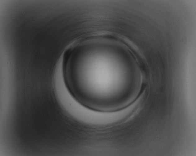 X0000101411177200807071248