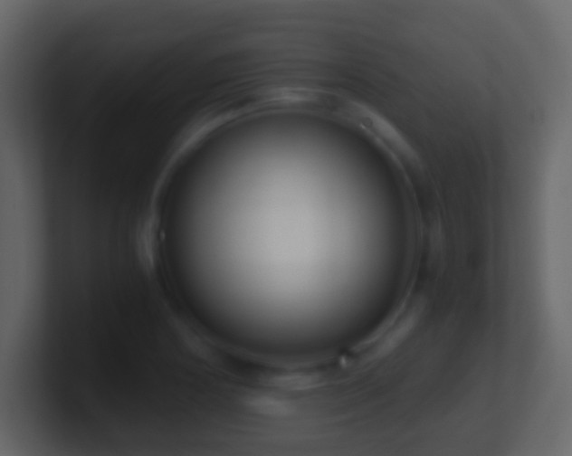 X0000101411178200807071248