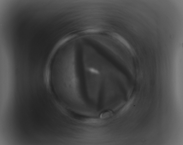 X0000101411179200807071248