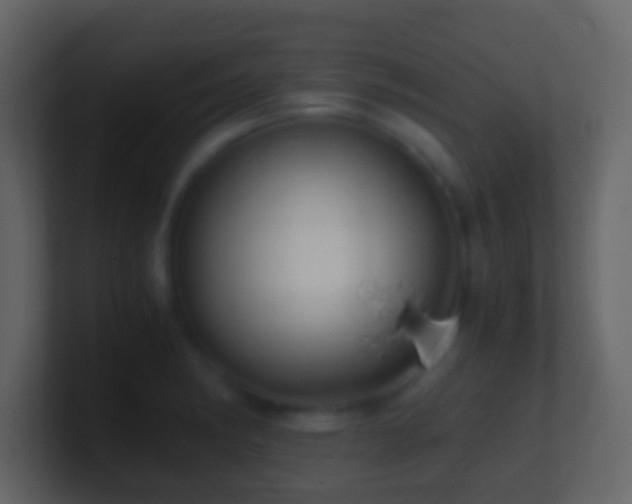 X0000101411182200807071248