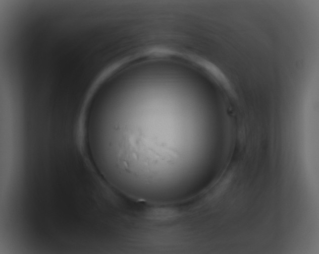X0000101411183200807071248