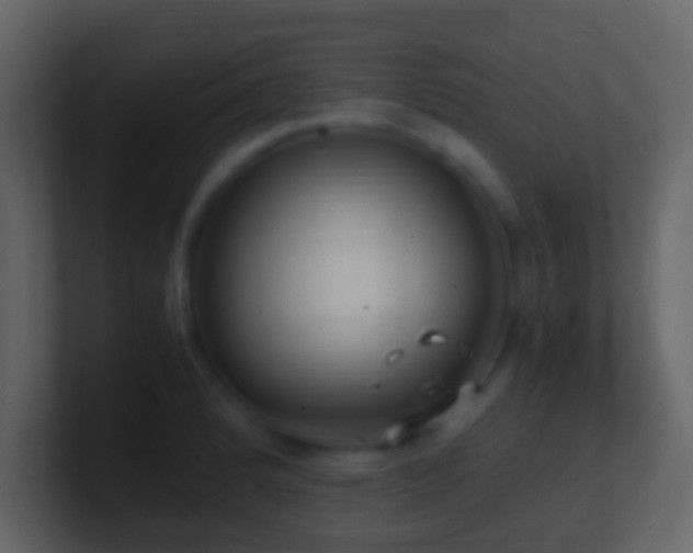 X0000101411184200807071248