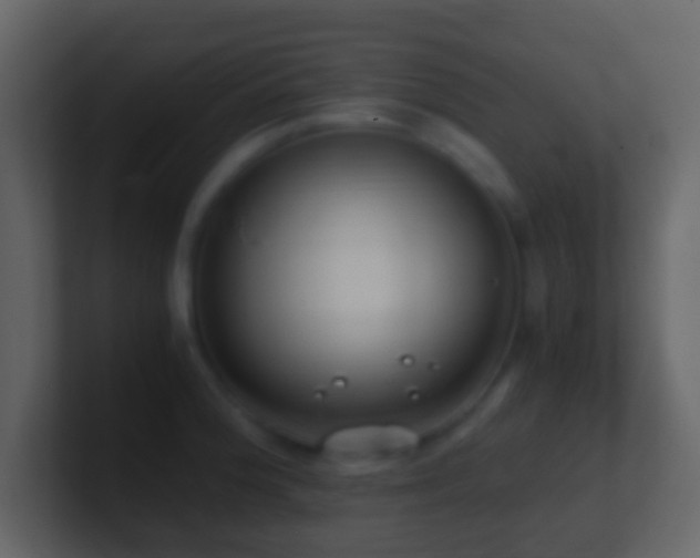 X0000101411188200807071248