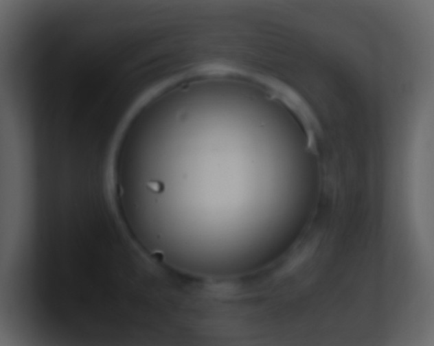 X0000101411191200807071248