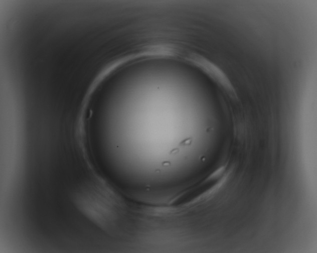 X0000101411192200807071248