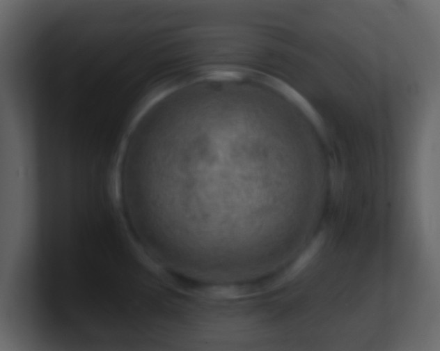 X0000101411194200807071248