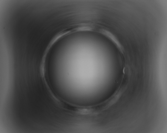 X0000101411195200807071248