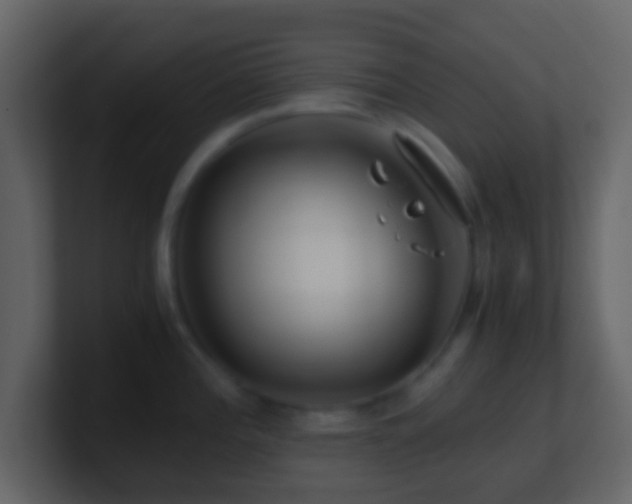 X0000101411196200807071248