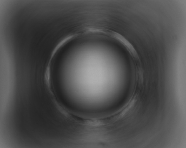 X0000101411198200807071248