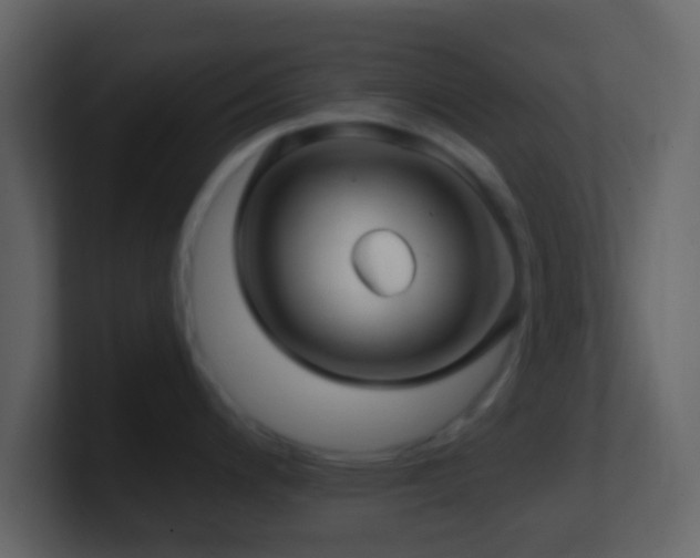 X0000101411200200807071248