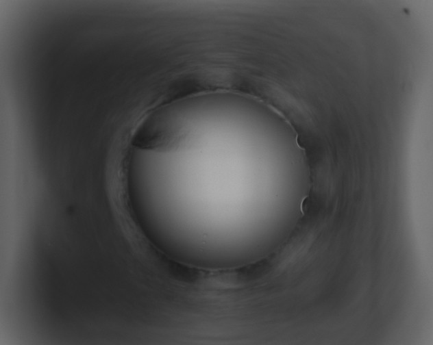 X0000101411201200807071248