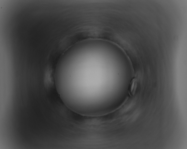 X0000101411202200807071248
