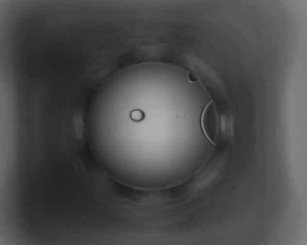 X0000101411203200807071248