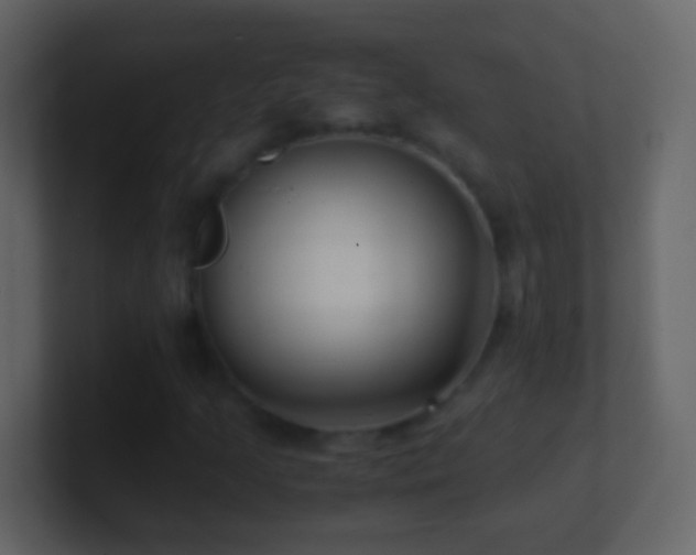 X0000101411205200807071248