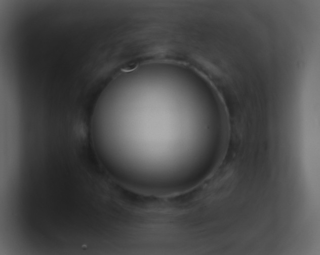 X0000101411206200807071248