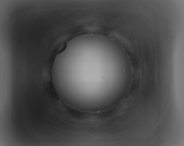 X0000101411207200807071248