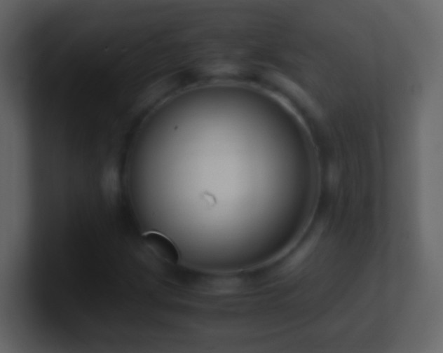 X0000101411209200807071248