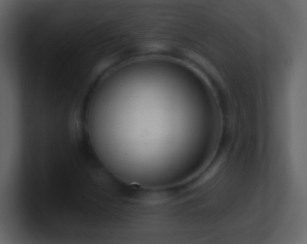 X0000101411210200807071248